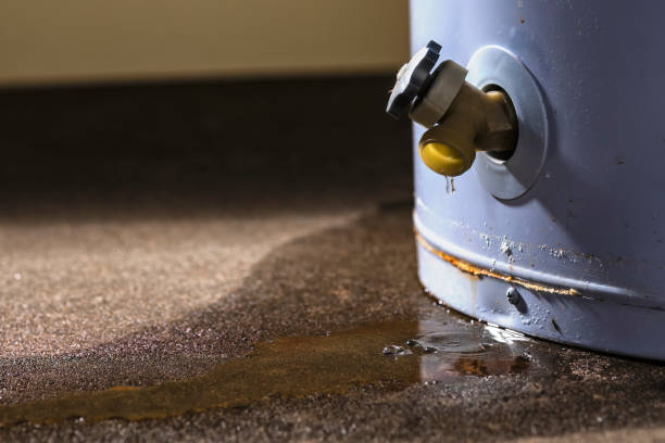 Best Ceiling water damage repair  in Castalia, OH
