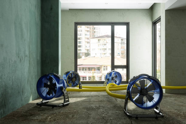 Best Ceiling water damage repair  in Castalia, OH